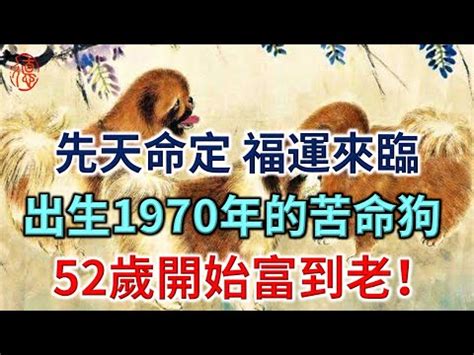 1970 狗 五行|1970年是什麼生肖？70年生人命運如何？五行屬釵釧。